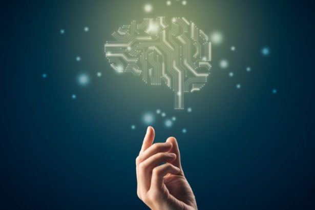 Bruno Garcia Redondo