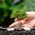 Fernando Trabach Filho destaca como a governança fiscal é chave para garantir equilíbrio e sustentabilidade na regulação da nova matriz energética.