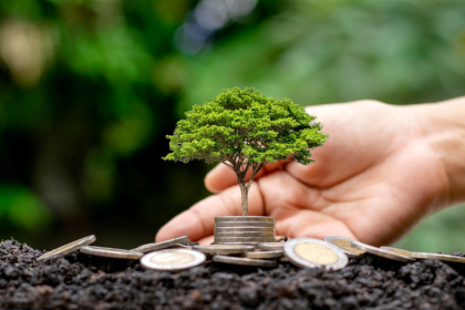 Fernando Trabach Filho destaca como a governança fiscal é chave para garantir equilíbrio e sustentabilidade na regulação da nova matriz energética.