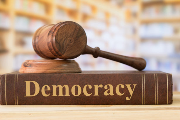 José Henrique Gomes Xavier destaca como a democracia participativa fortalece o papel do cidadão na gestão das cidades.